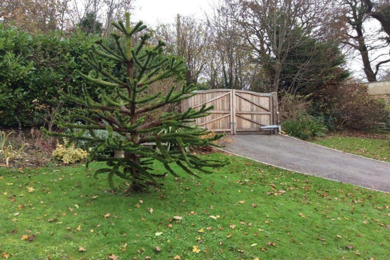 Longacre Bed and Breakfast Freshford Εξωτερικό φωτογραφία